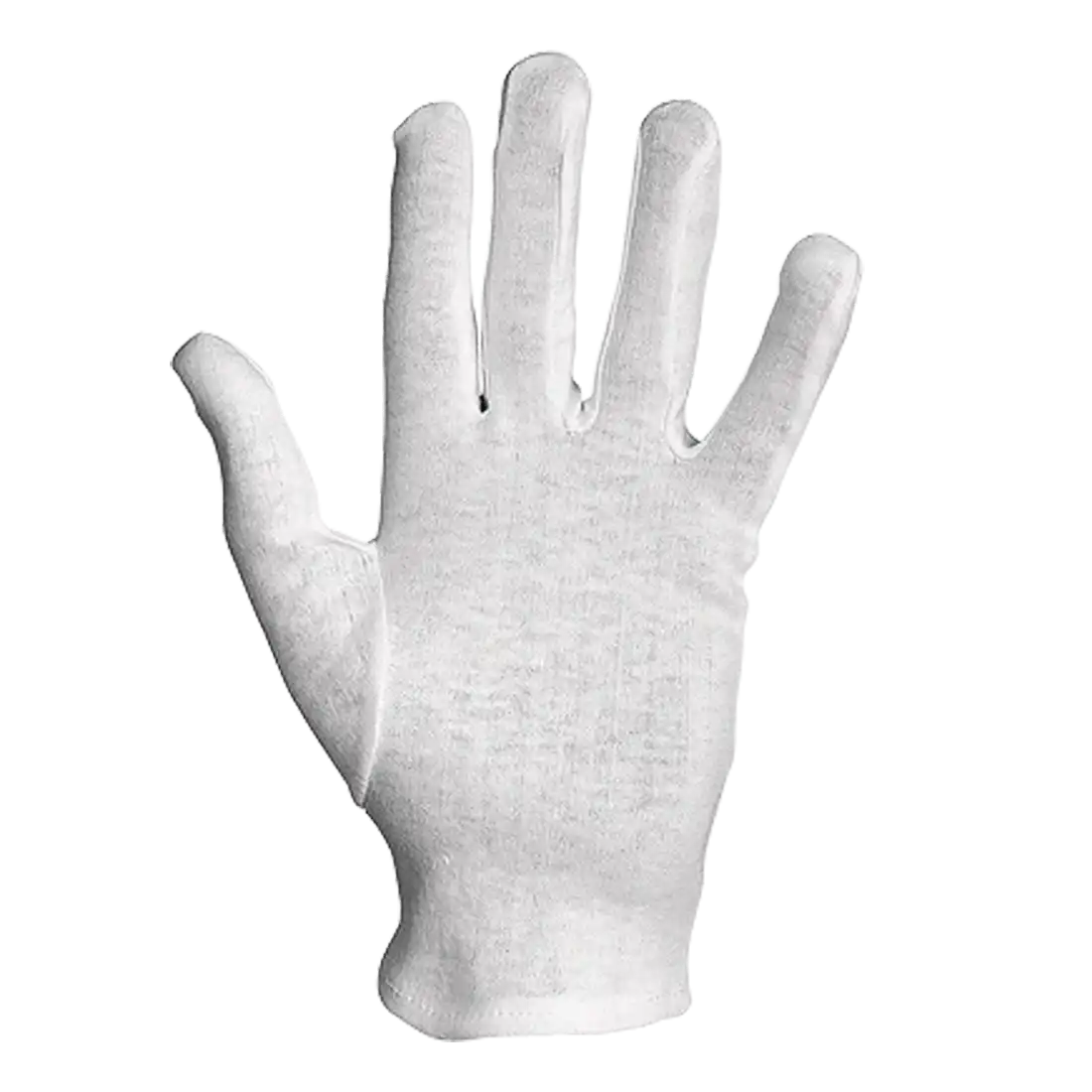 BIANCOSPINO GLOVES - High-Sensitivity - Breathable Cotton - Small Cuff - Pack of 12 Pieces